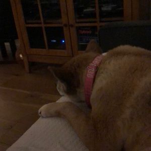 Meet your Posher, Pam